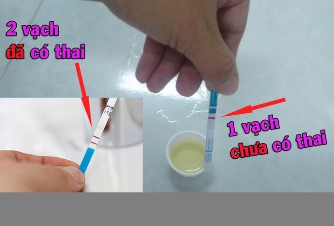 Cách đọc kết quả bút thử thai - Hướng dẫn chi tiết để xác định khả năng mang thai chính xác nhất